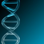 unmarried parents custody in ohio