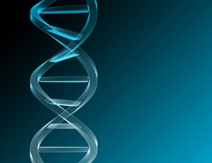 COLUMBUS OHIO PATERNITY ATTORNEYS